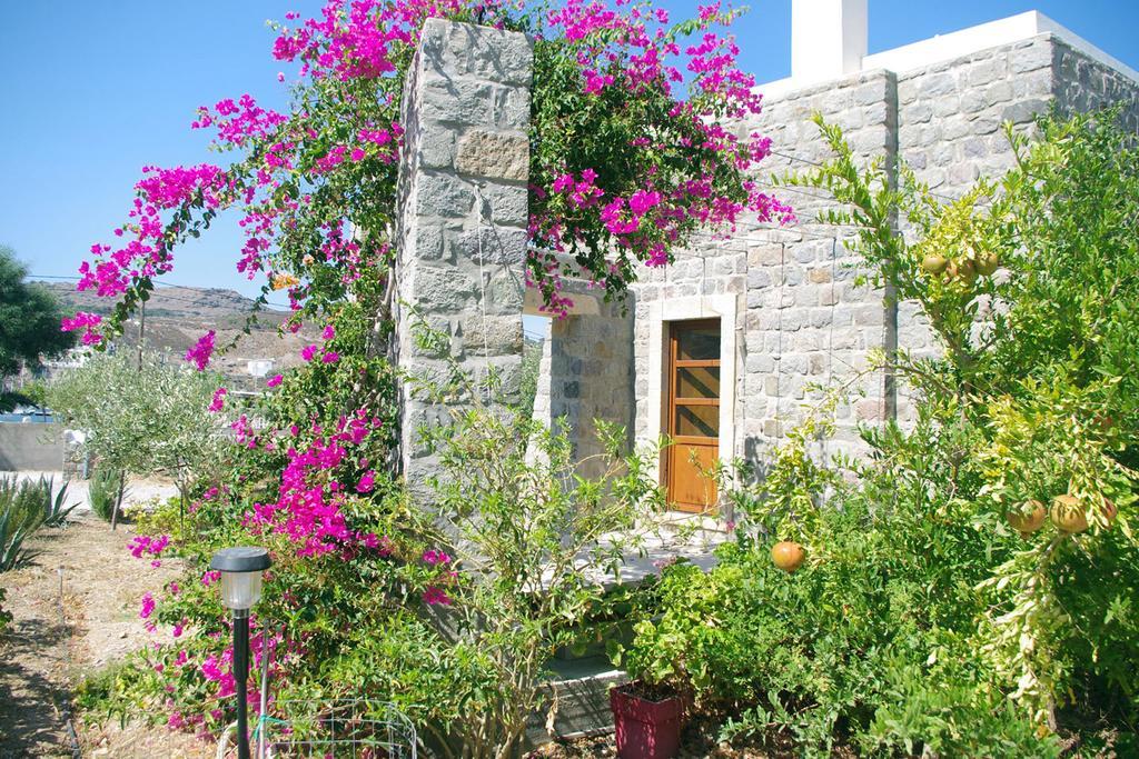 Villa Patmos Netia Скала Екстериор снимка